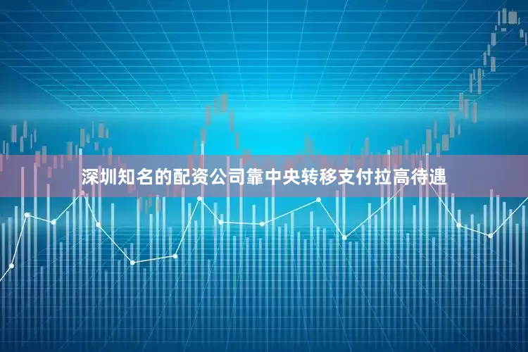 深圳知名的配资公司靠中央转移支付拉高待遇